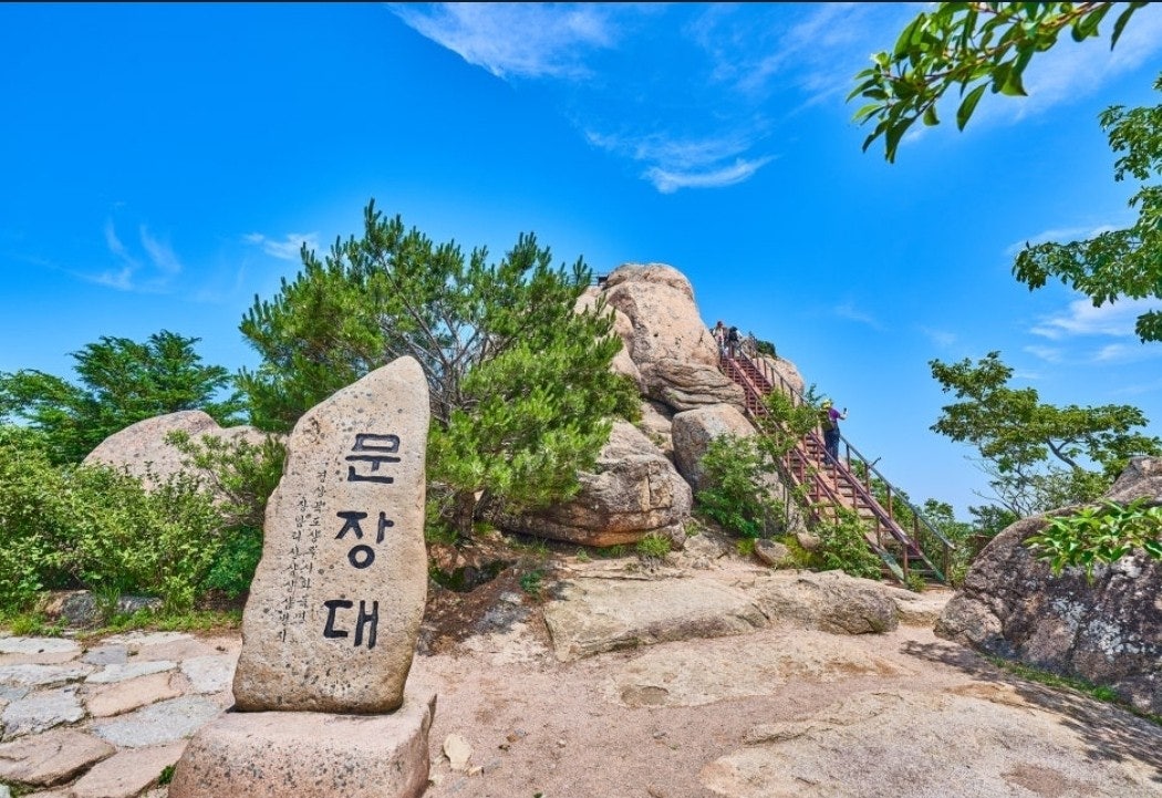 사용자가 올린 이미지