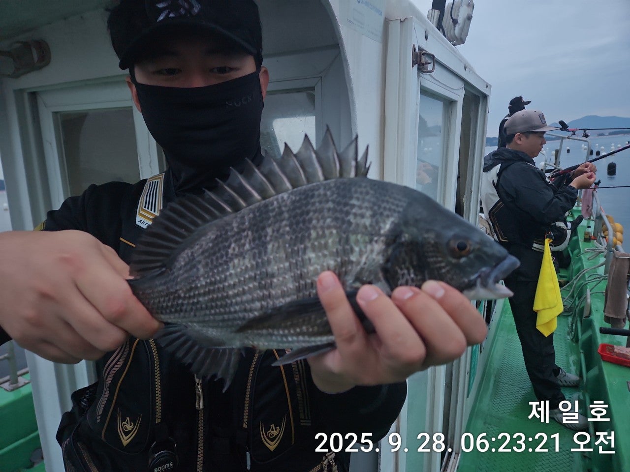 사용자가 올린 이미지