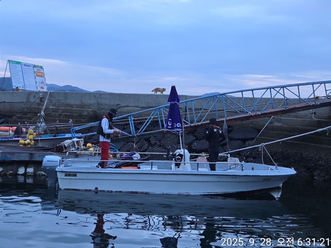 사용자가 올린 이미지