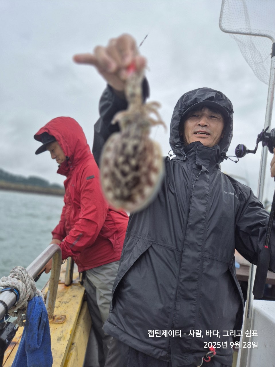 사용자가 올린 이미지