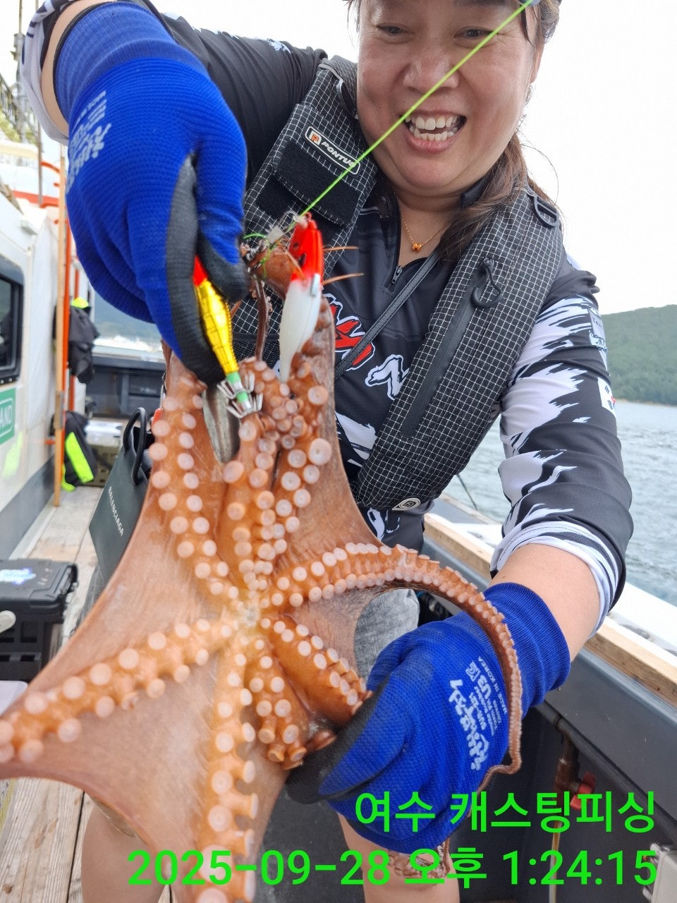 사용자가 올린 이미지