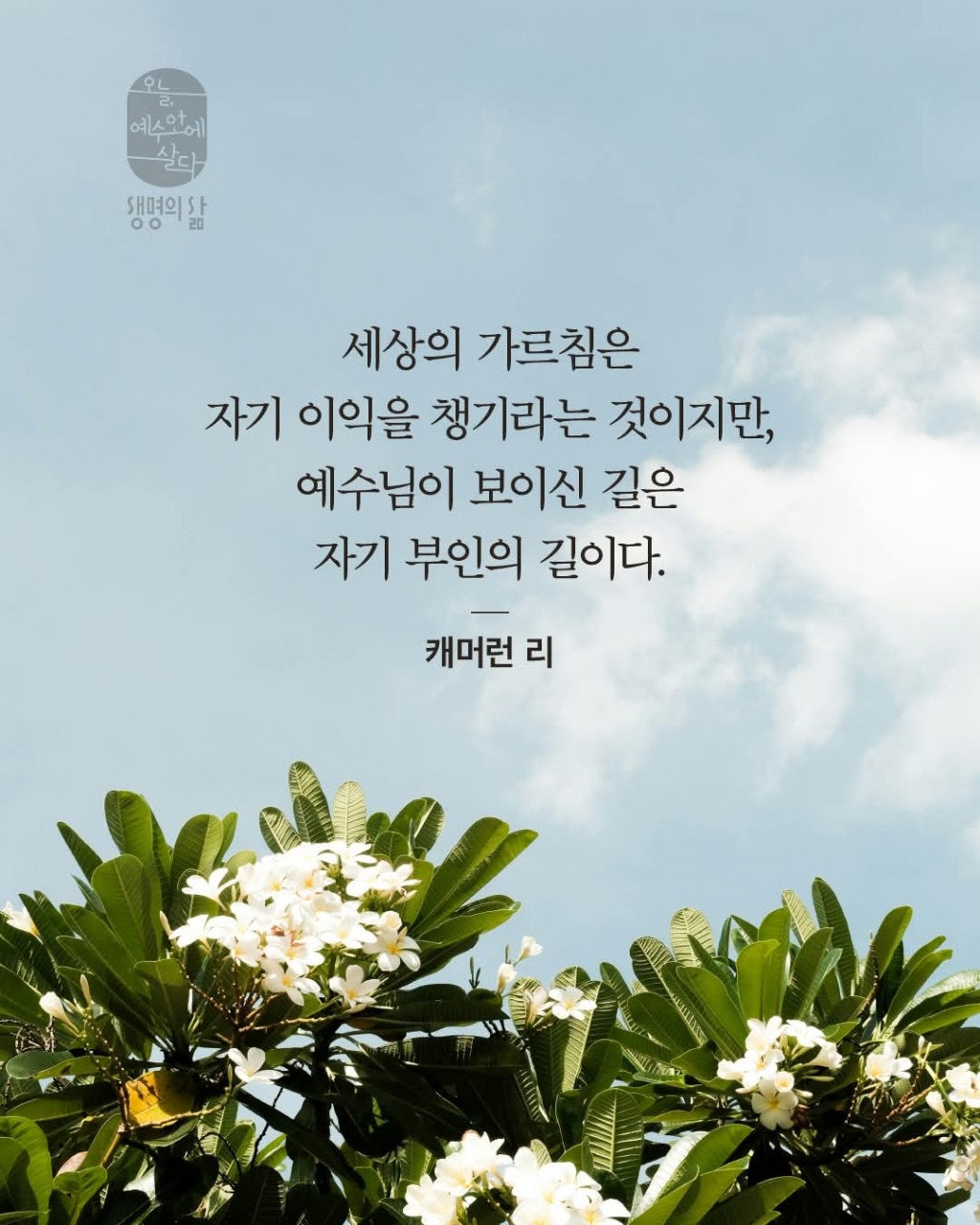 ����ڰ� �ø� �̹���