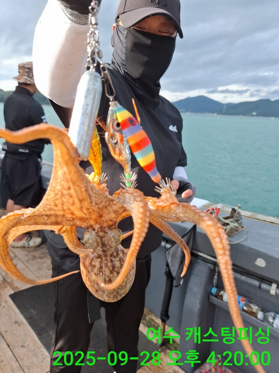 사용자가 올린 이미지