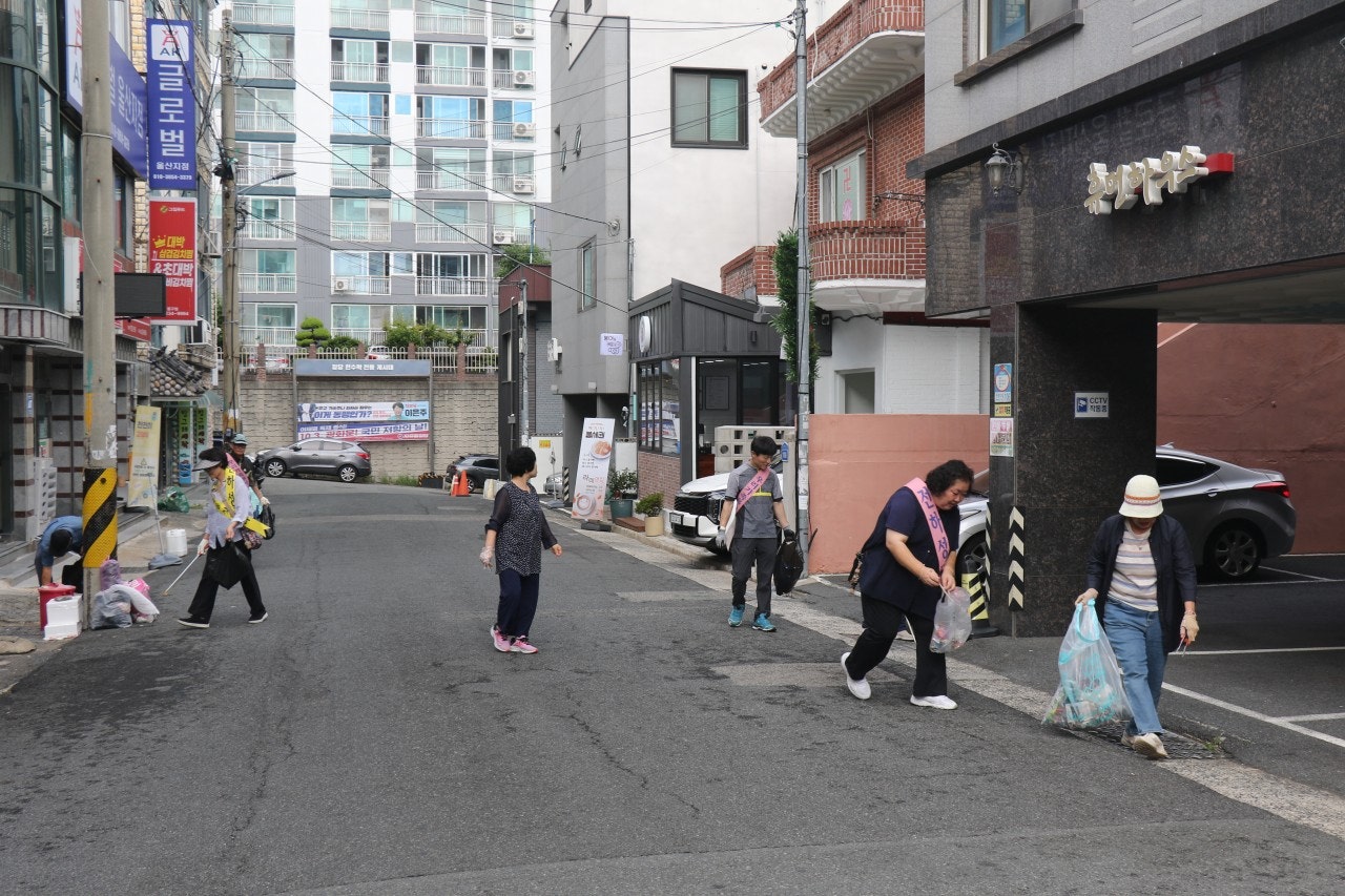 사용자가 올린 이미지