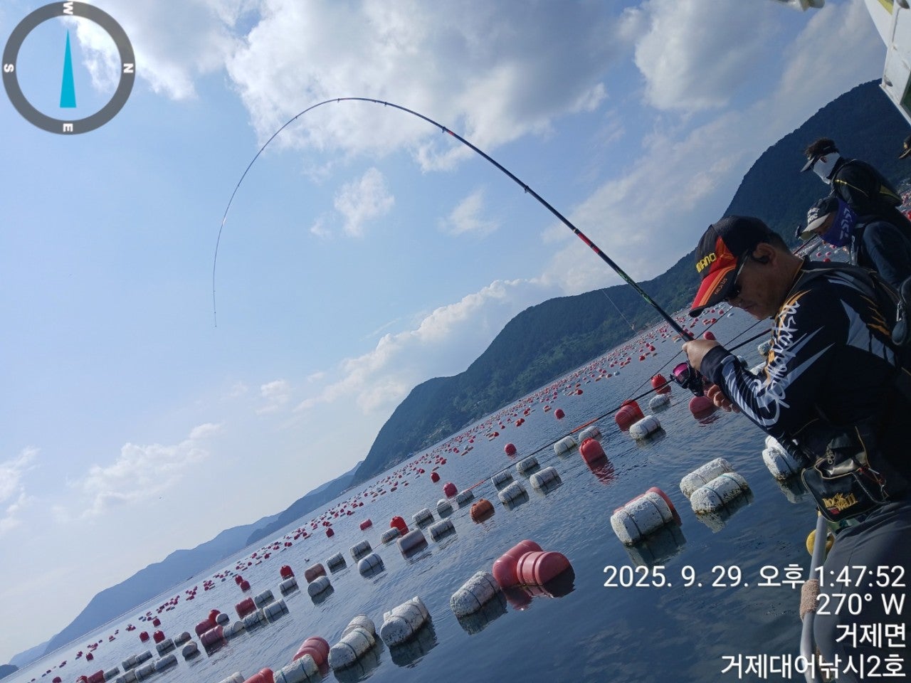 사용자가 올린 이미지