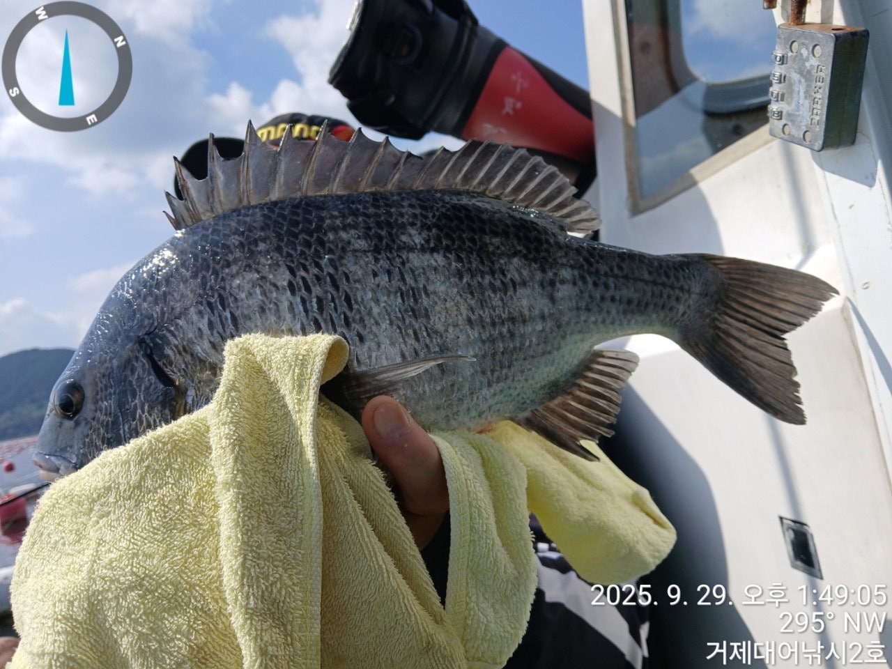 사용자가 올린 이미지