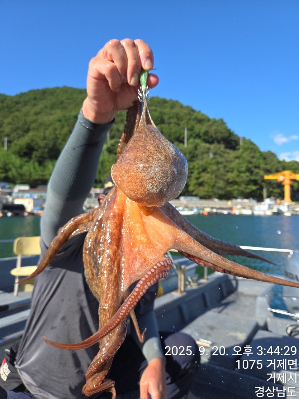 사용자가 올린 이미지