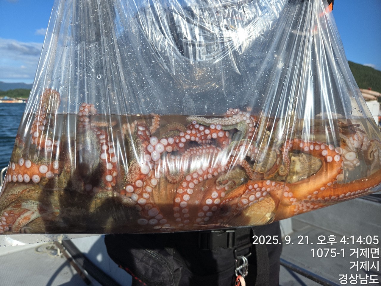 사용자가 올린 이미지