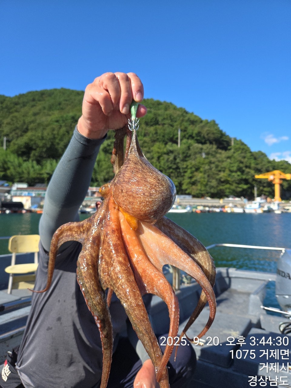 사용자가 올린 이미지