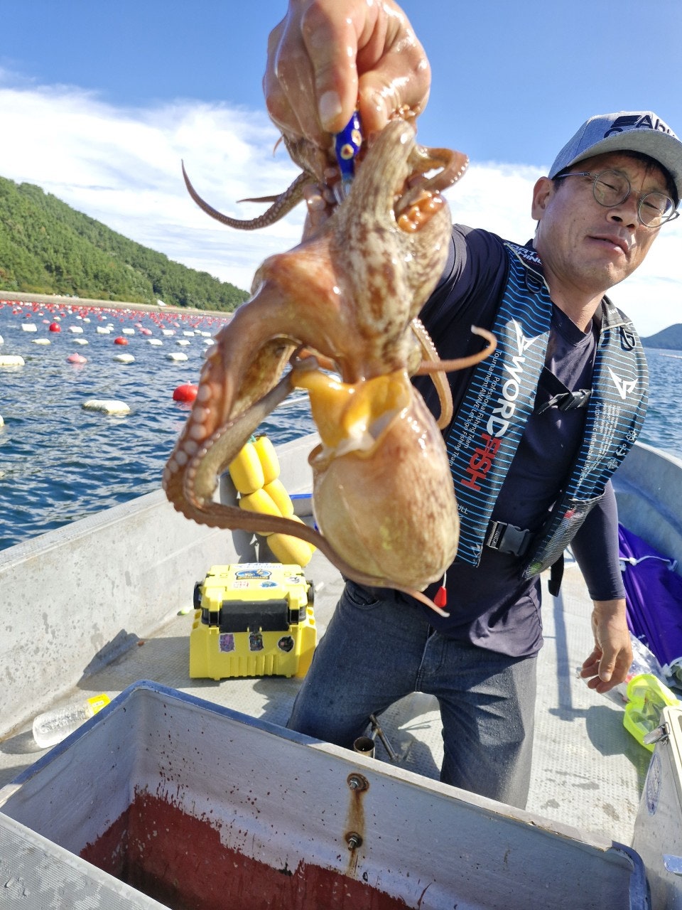 사용자가 올린 이미지