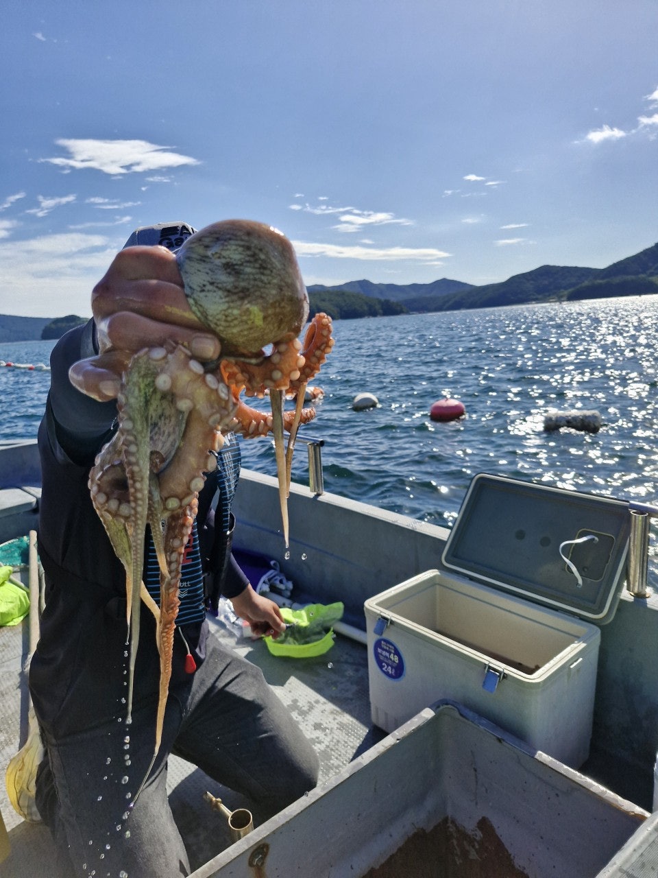 사용자가 올린 이미지