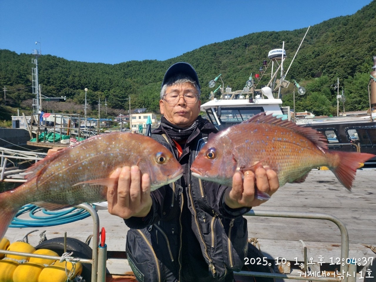 사용자가 올린 이미지