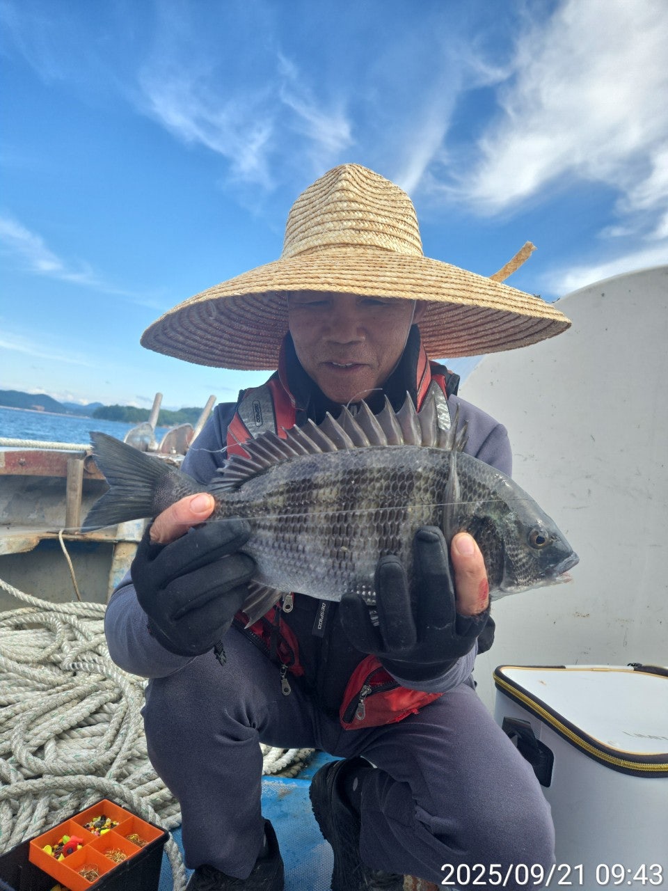 사용자가 올린 이미지