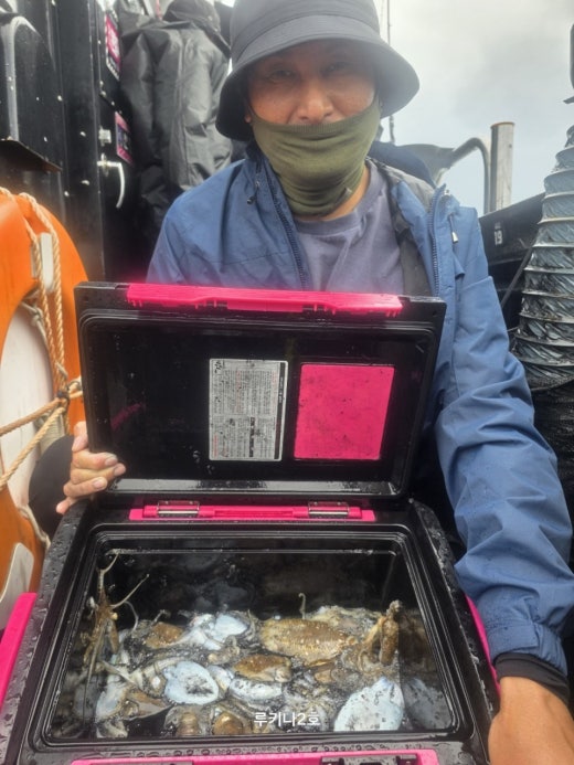 사진