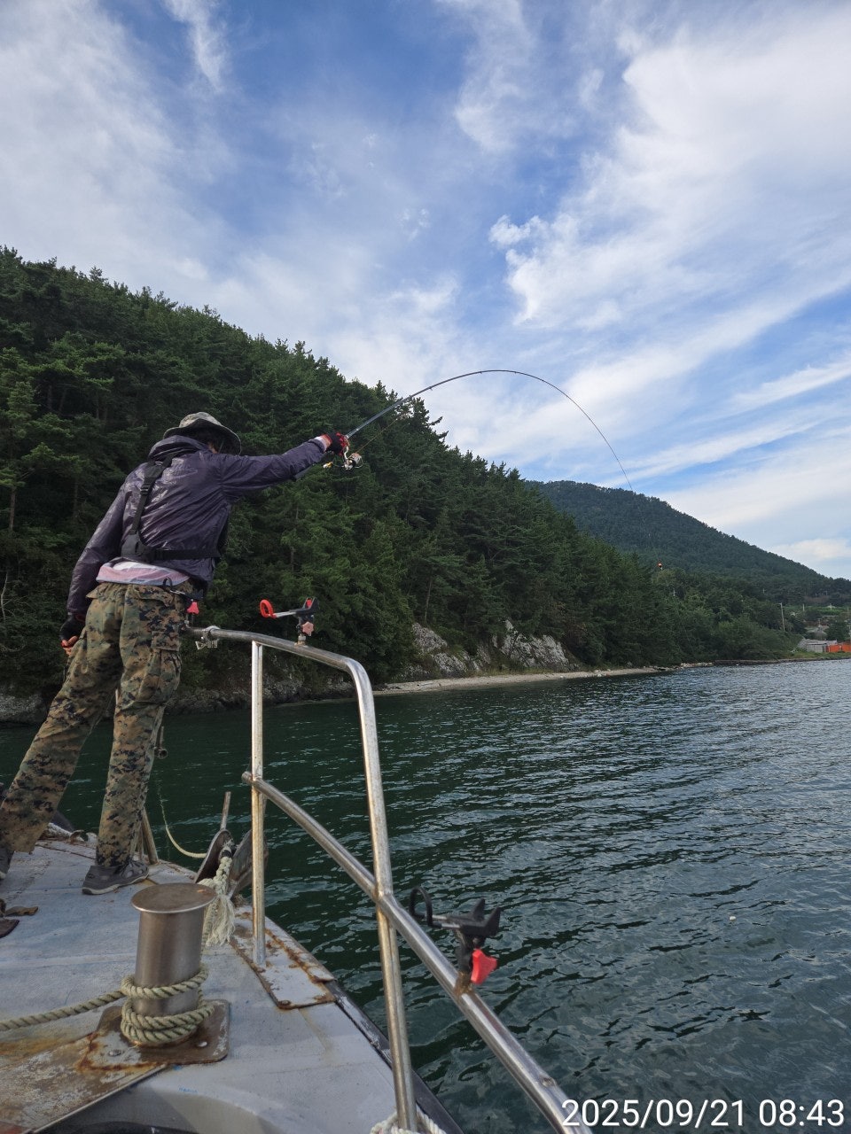 사용자가 올린 이미지