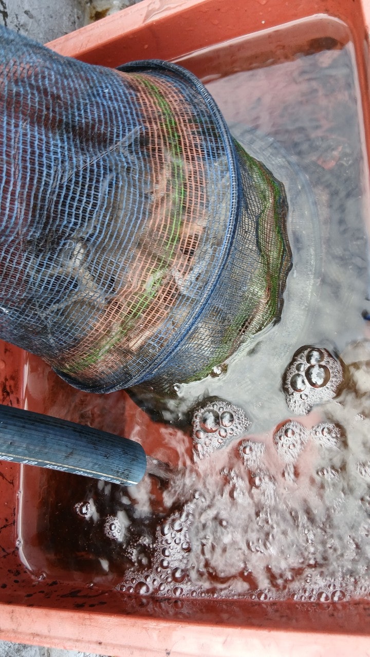 사용자가 올린 이미지