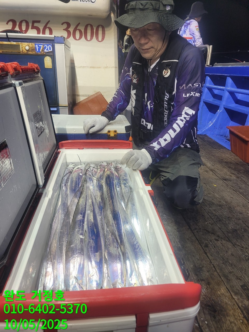10월 4일 완도 거정호  갈치낚시 다녀왔습니다.