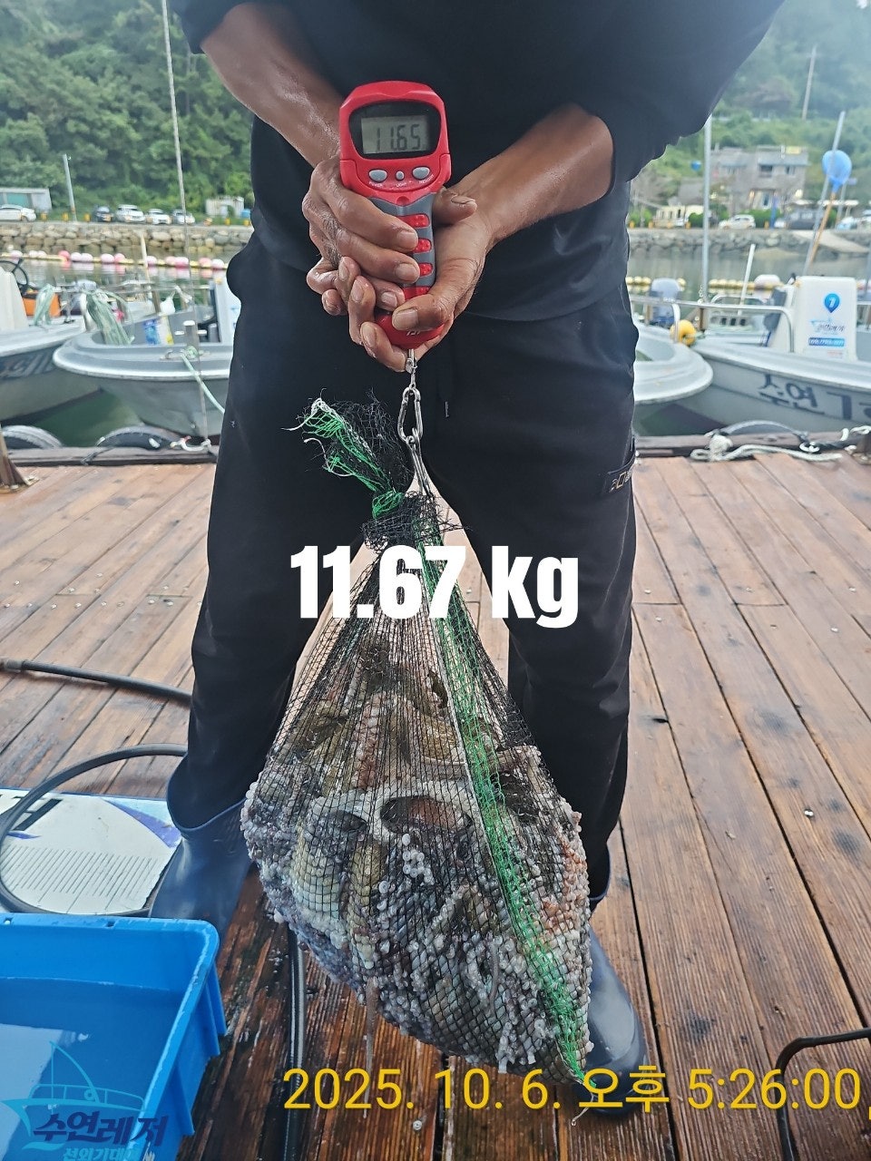 사용자가 올린 이미지