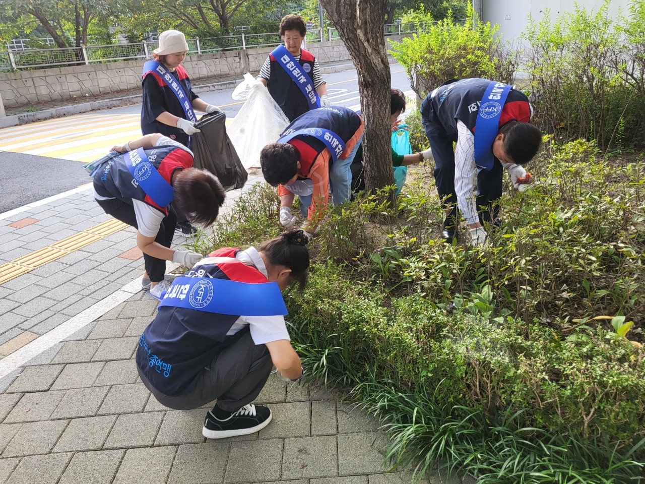 사용자가 올린 이미지