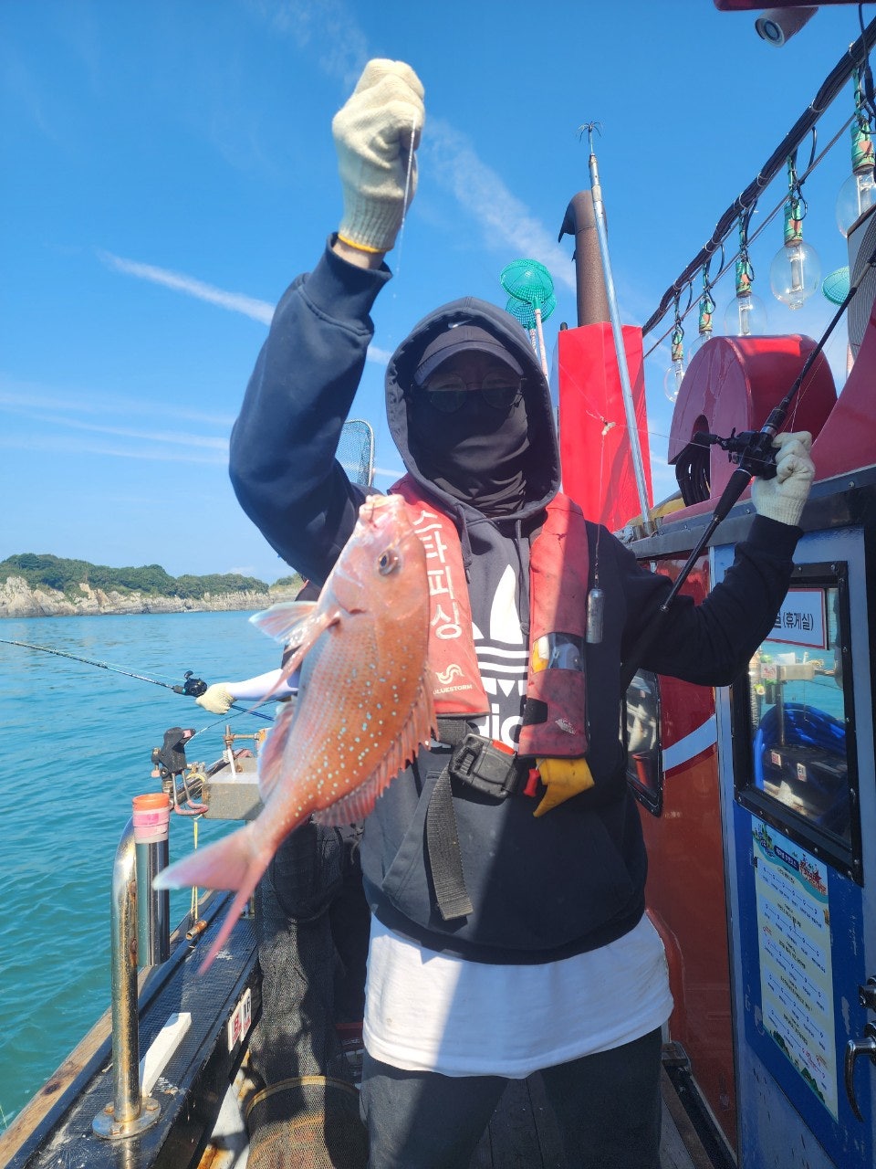 사용자가 올린 이미지