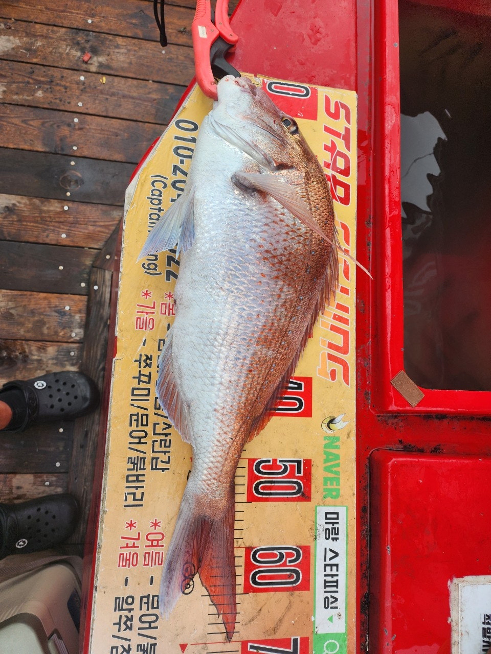 사용자가 올린 이미지