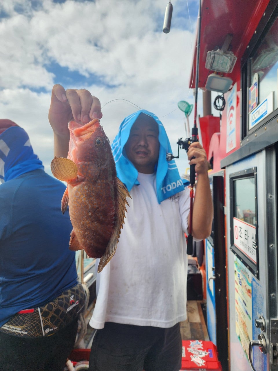 사용자가 올린 이미지