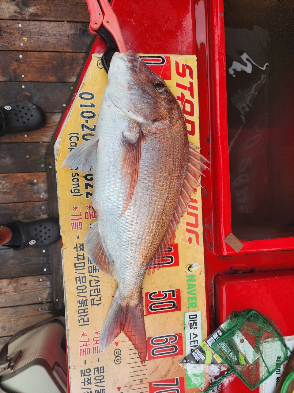 사용자가 올린 이미지