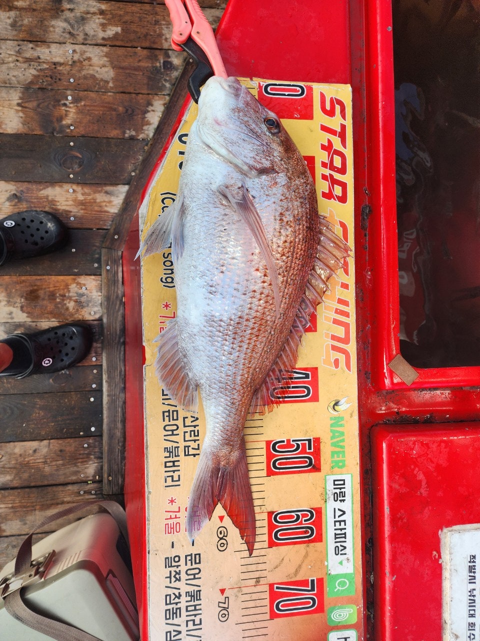 사용자가 올린 이미지