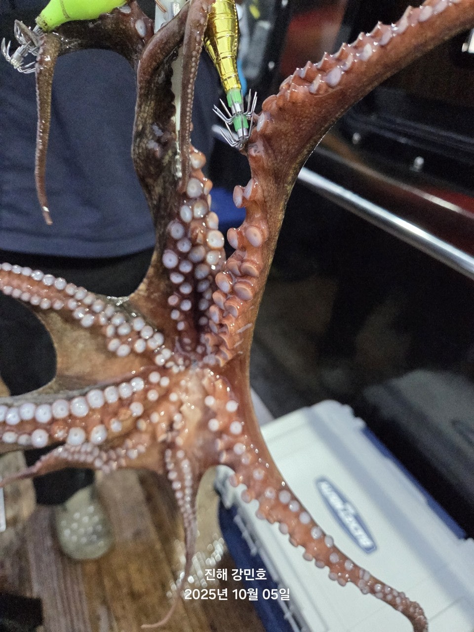 사용자가 올린 이미지