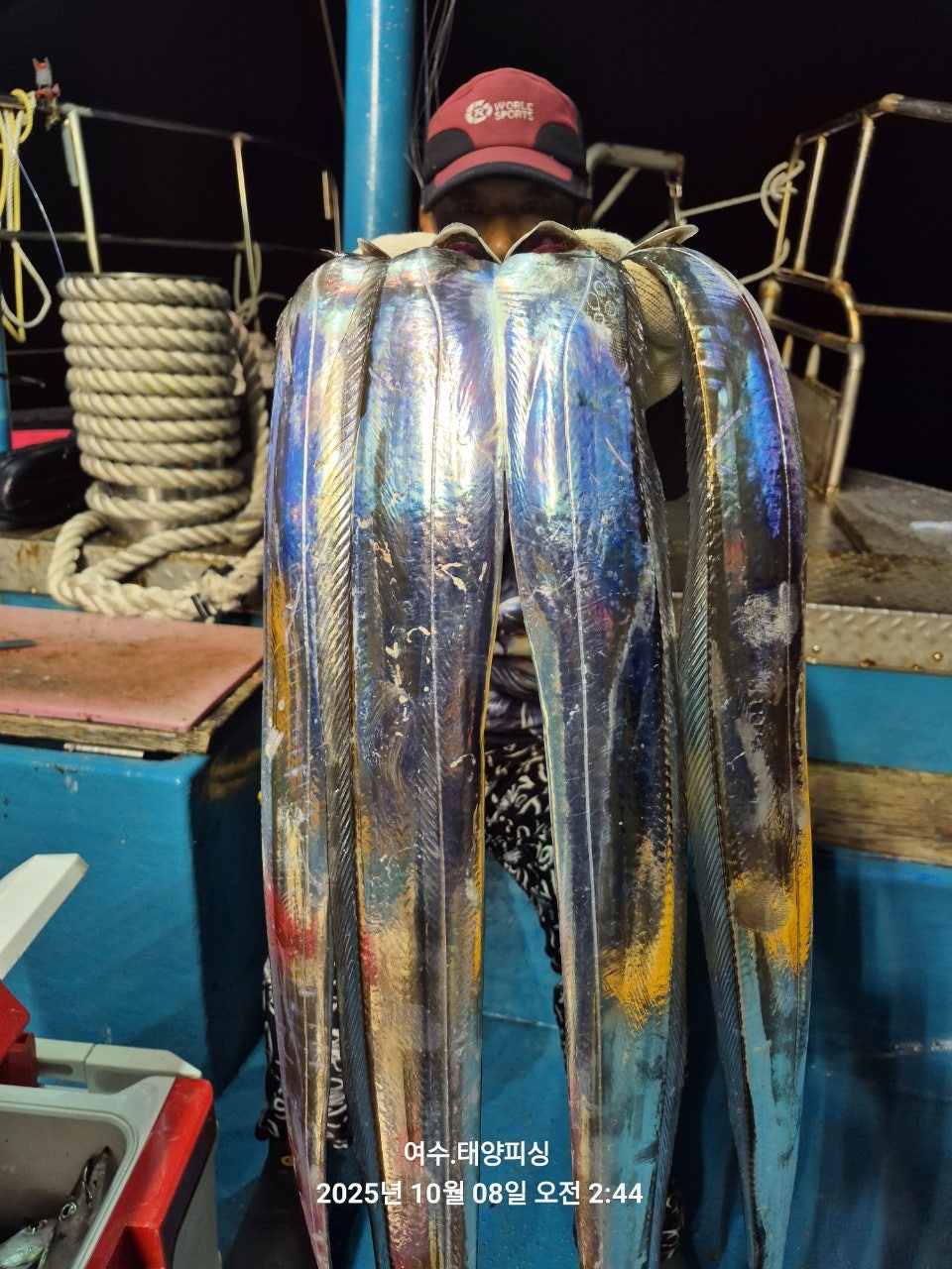 사용자가 올린 이미지