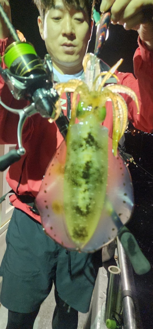 사용자가 올린 이미지