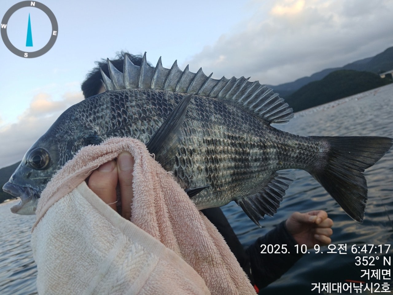 사용자가 올린 이미지