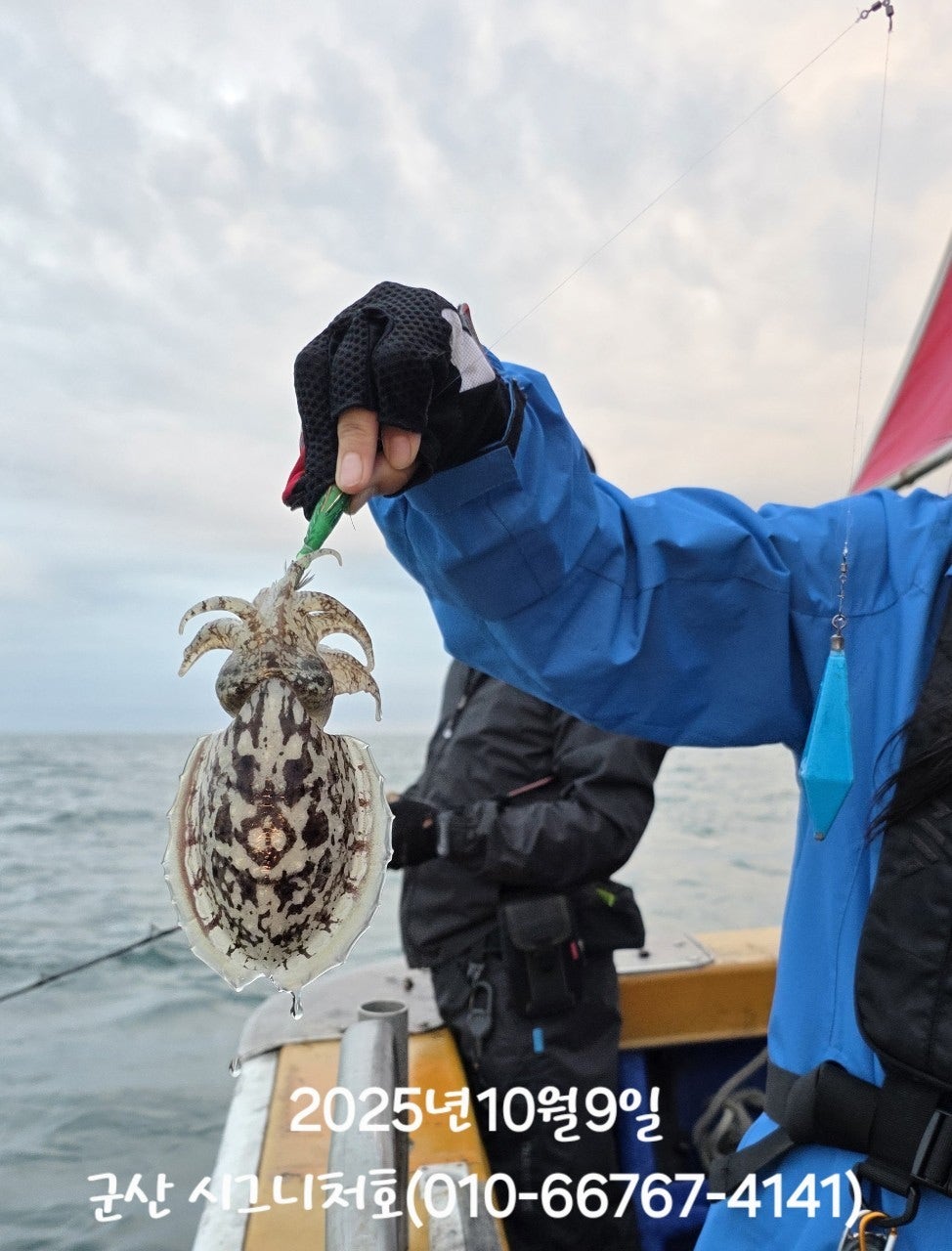 사용자가 올린 이미지