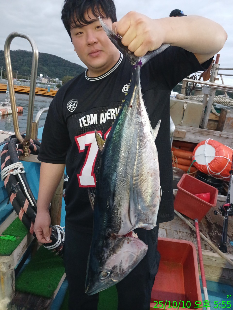 a_577Ud018svc1ih69aq4tjcu0_9bt2m0.jpg