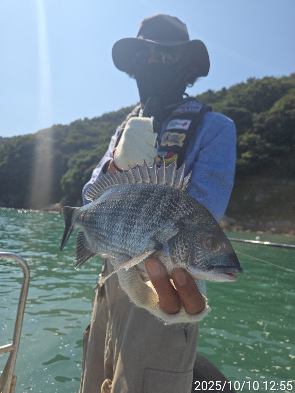 사용자가 올린 이미지