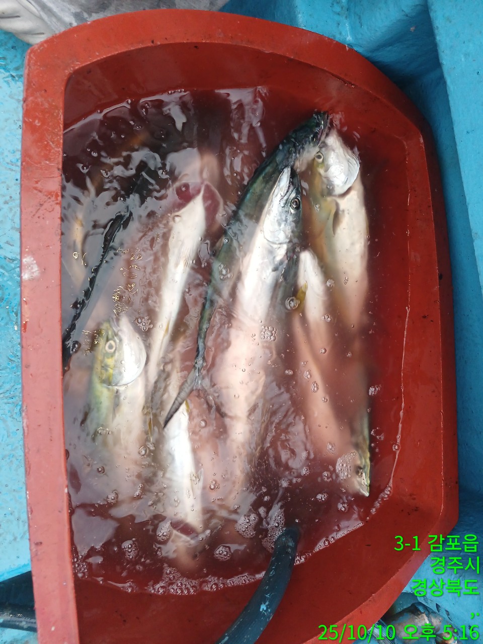 c_g6aUd018svcxsfuu4xxrlgo_9bt2m0.jpg