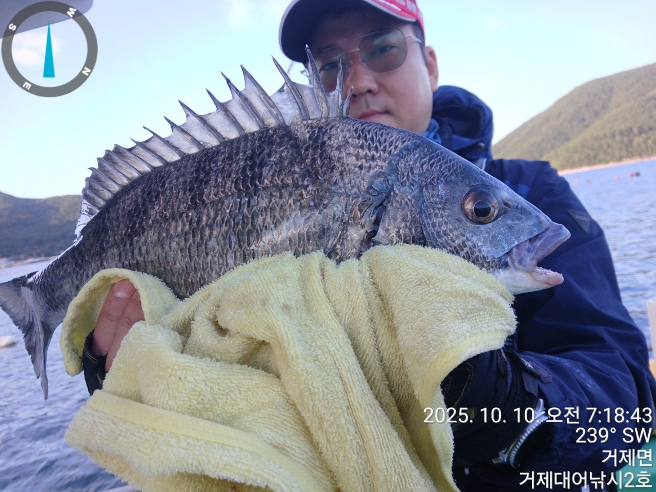 사용자가 올린 이미지