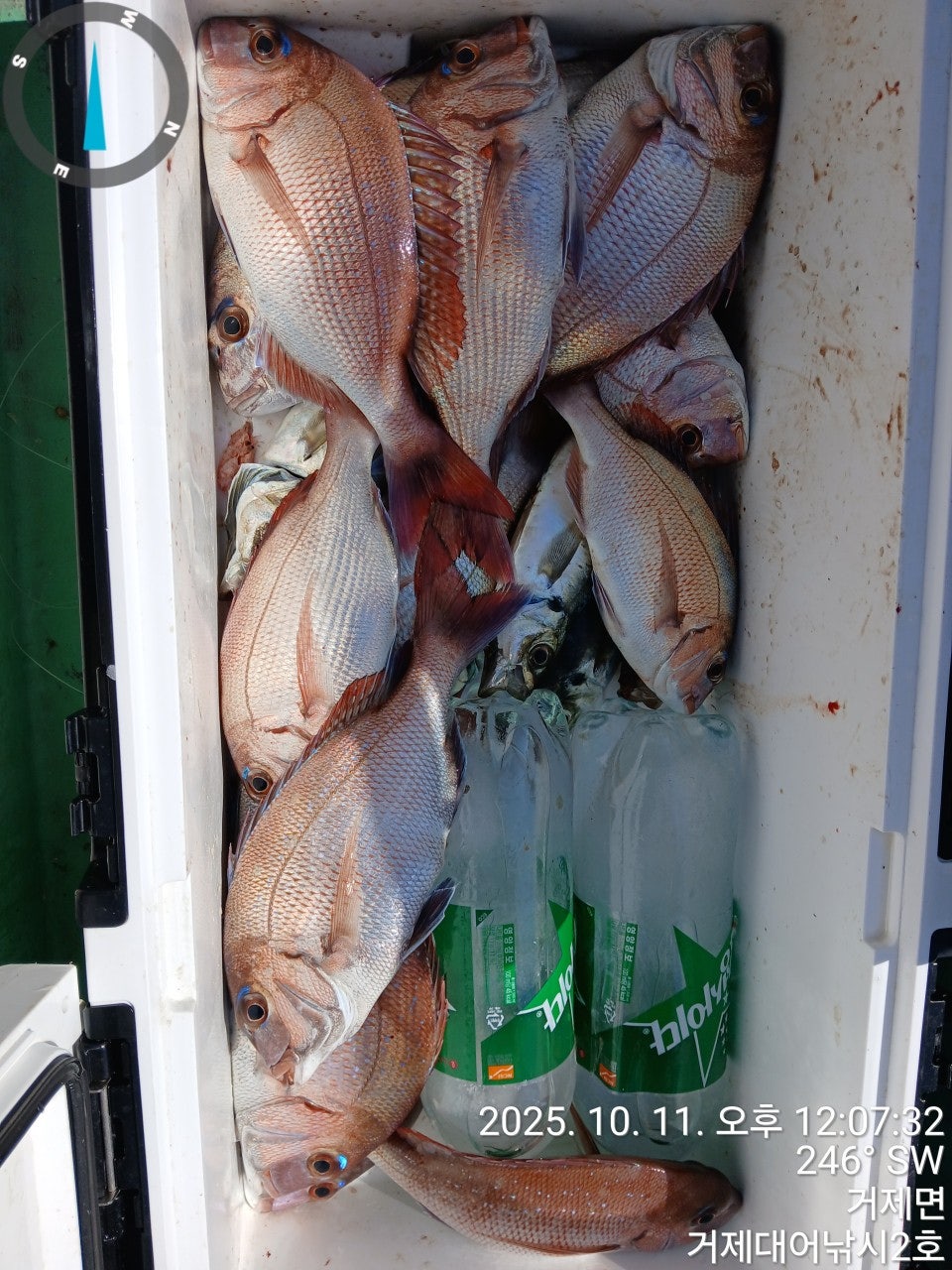 사용자가 올린 이미지