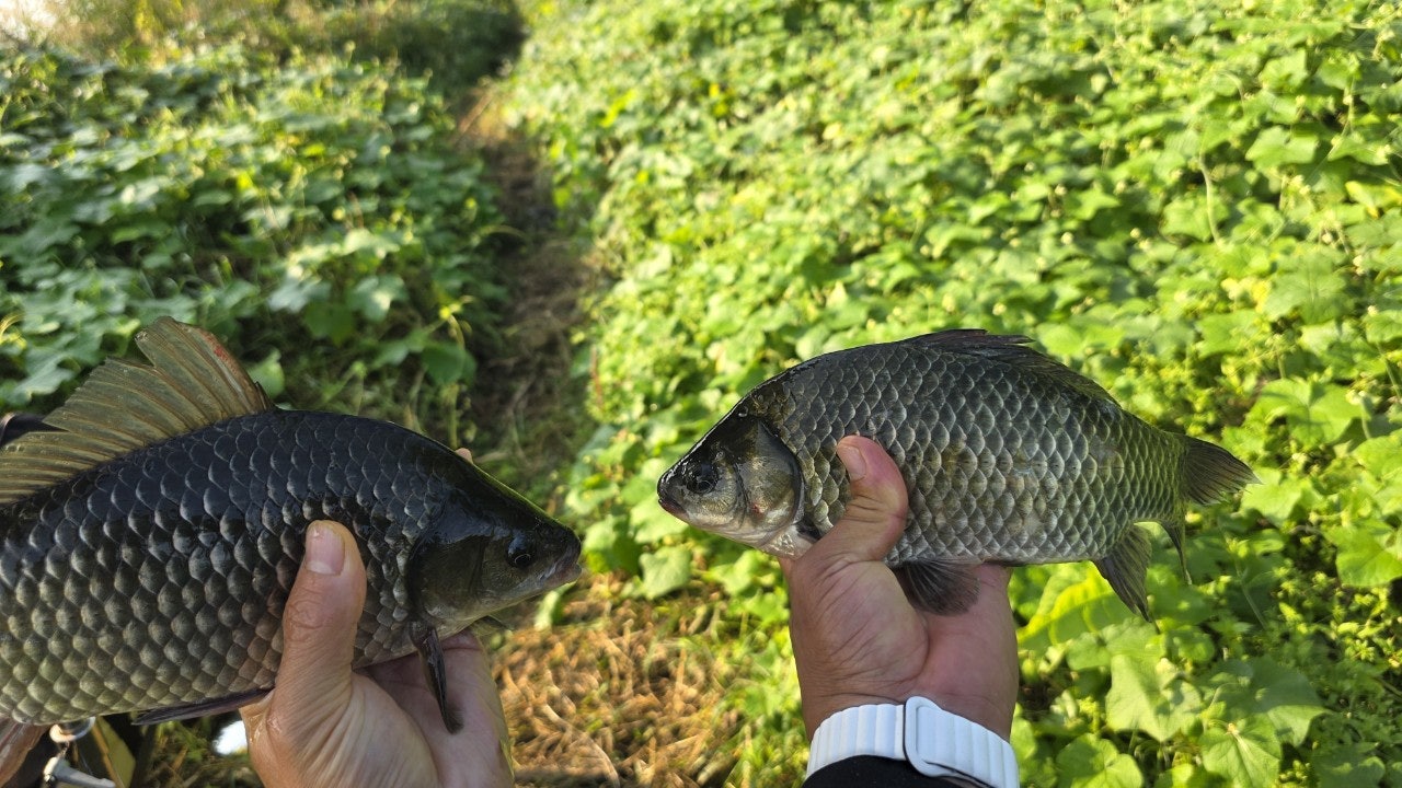 사용자가 올린 이미지