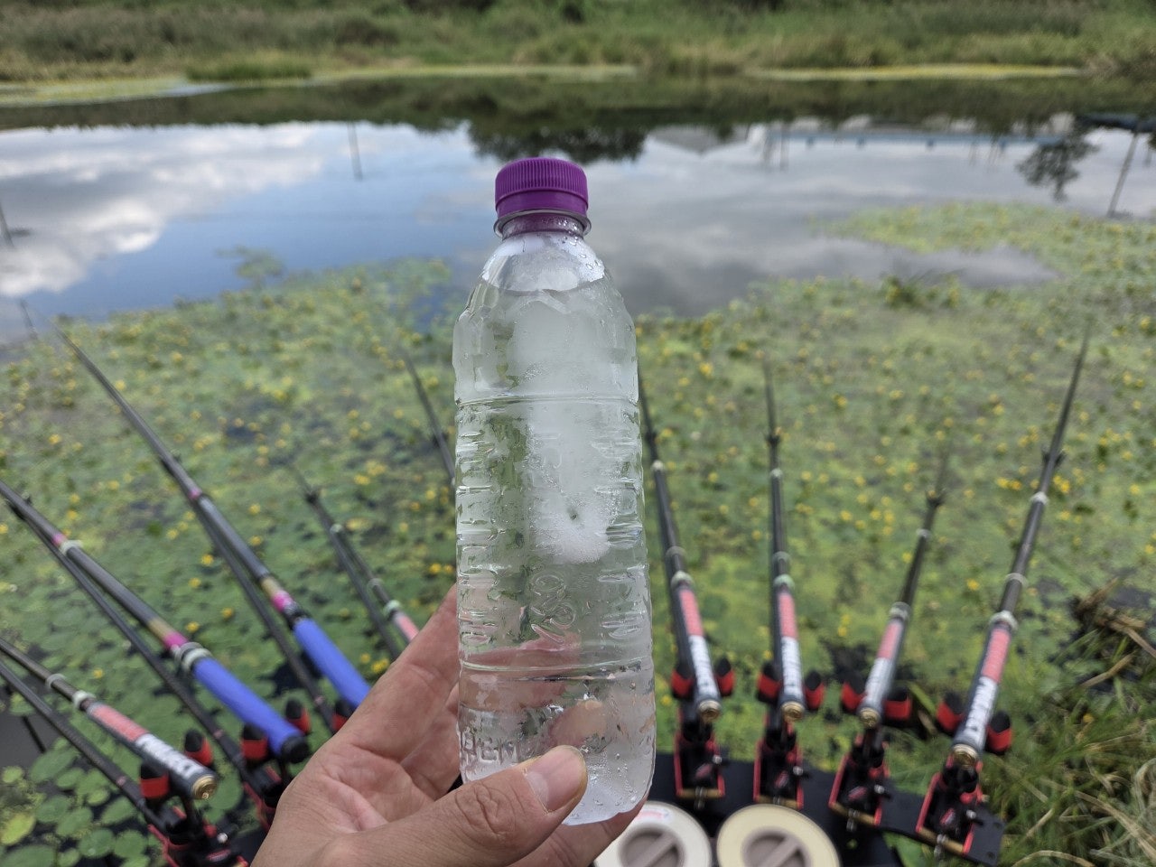 사용자가 올린 이미지