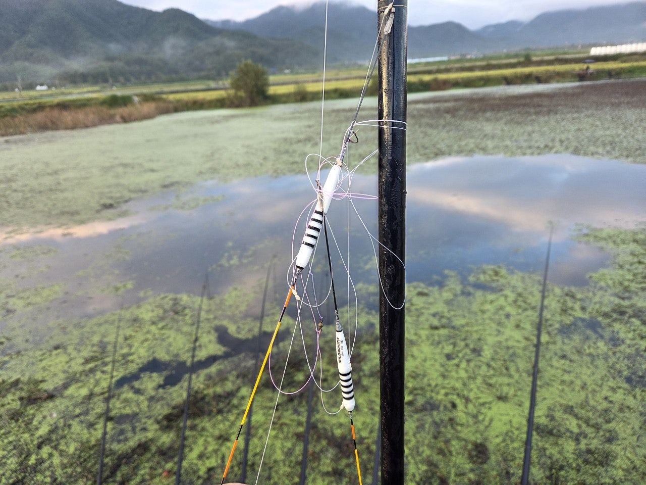 사용자가 올린 이미지