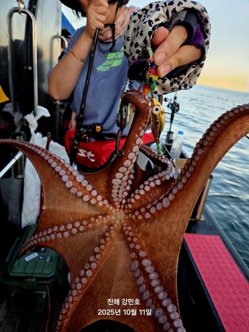 사용자가 올린 이미지