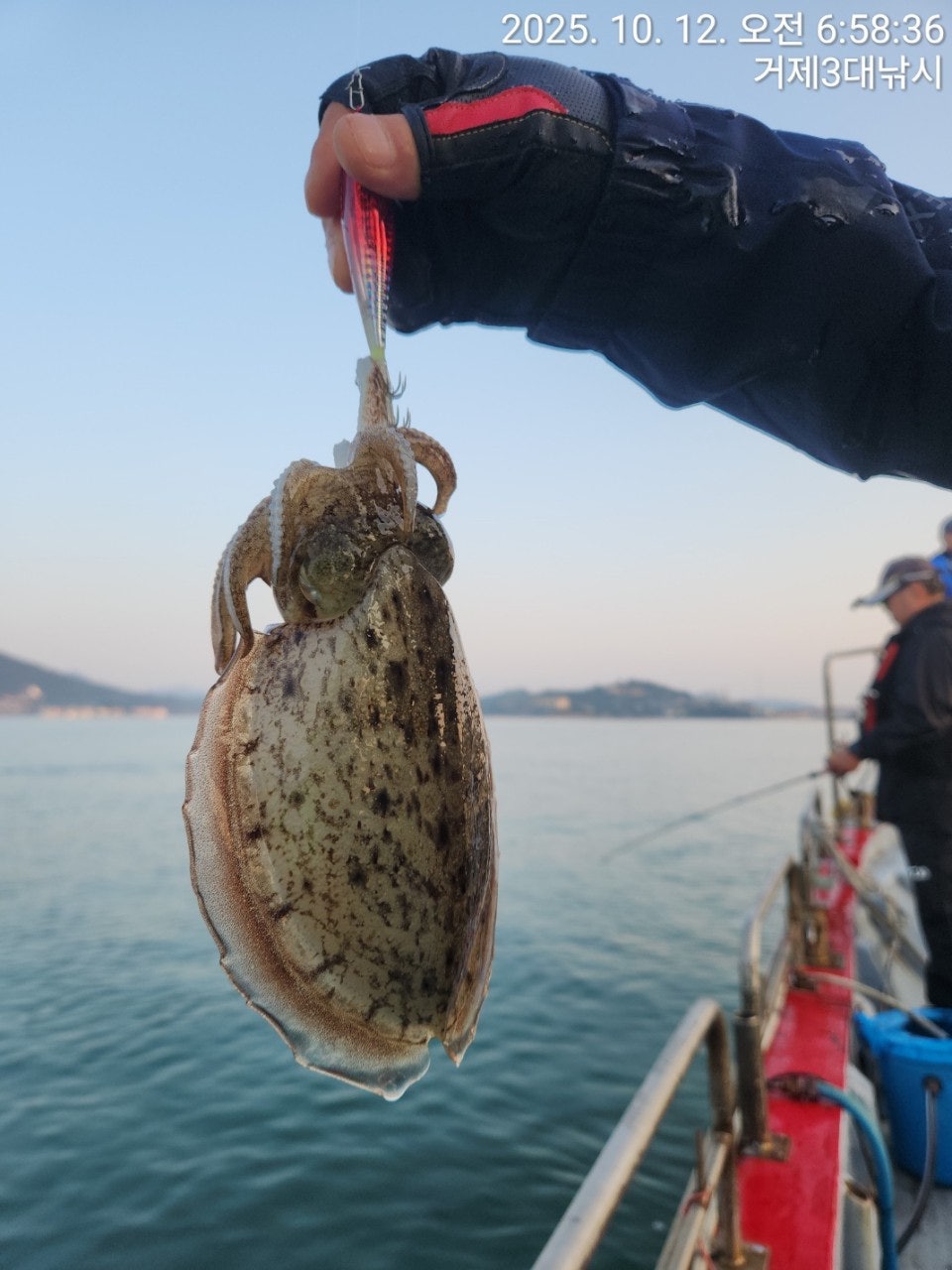 사용자가 올린 이미지