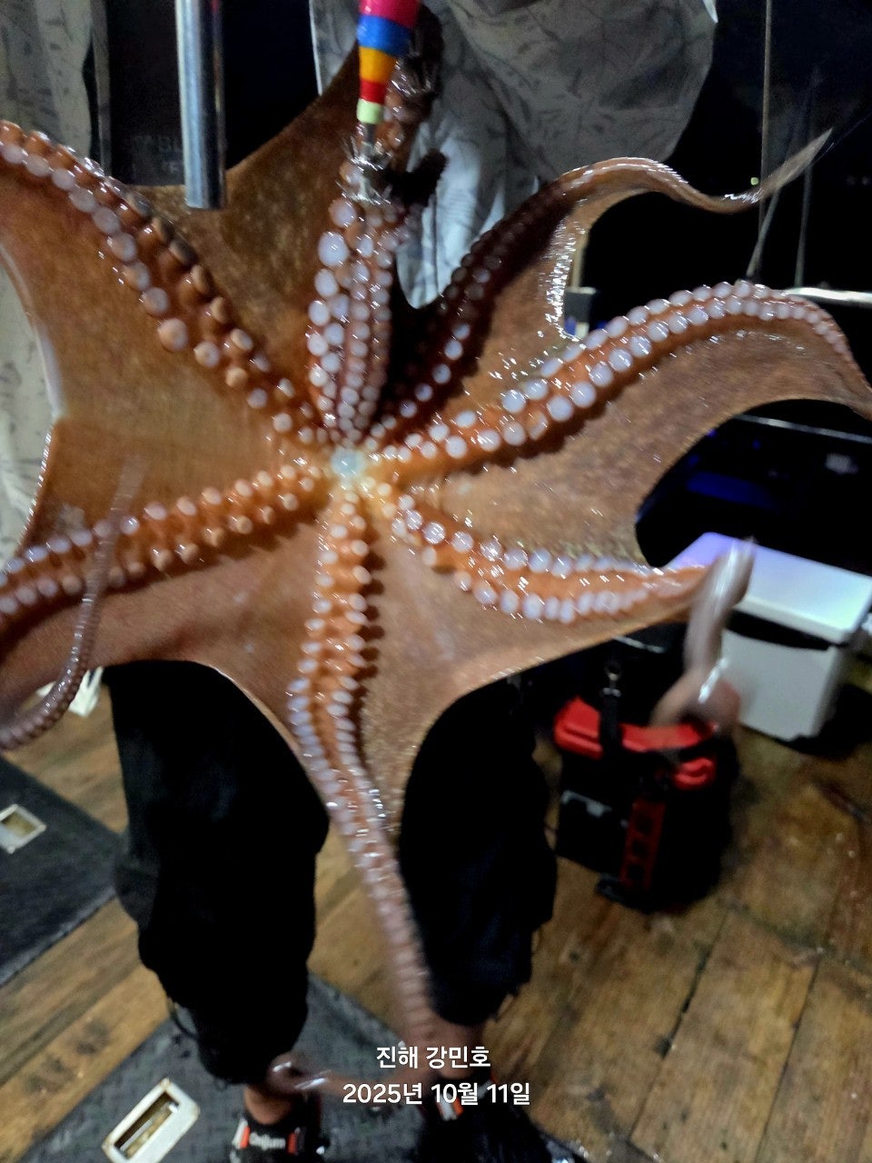 사용자가 올린 이미지