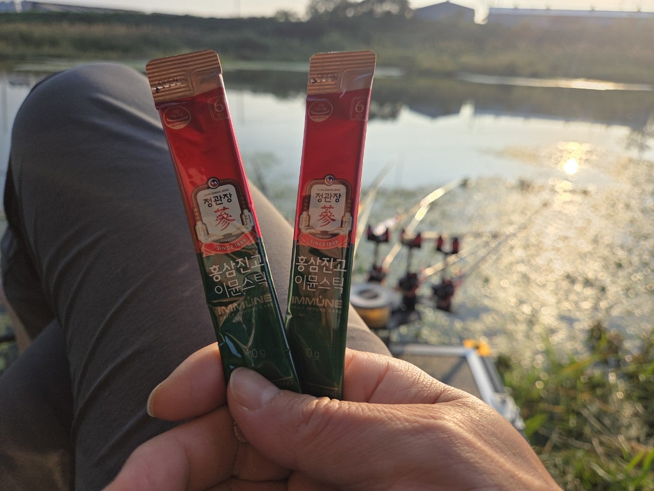 사용자가 올린 이미지