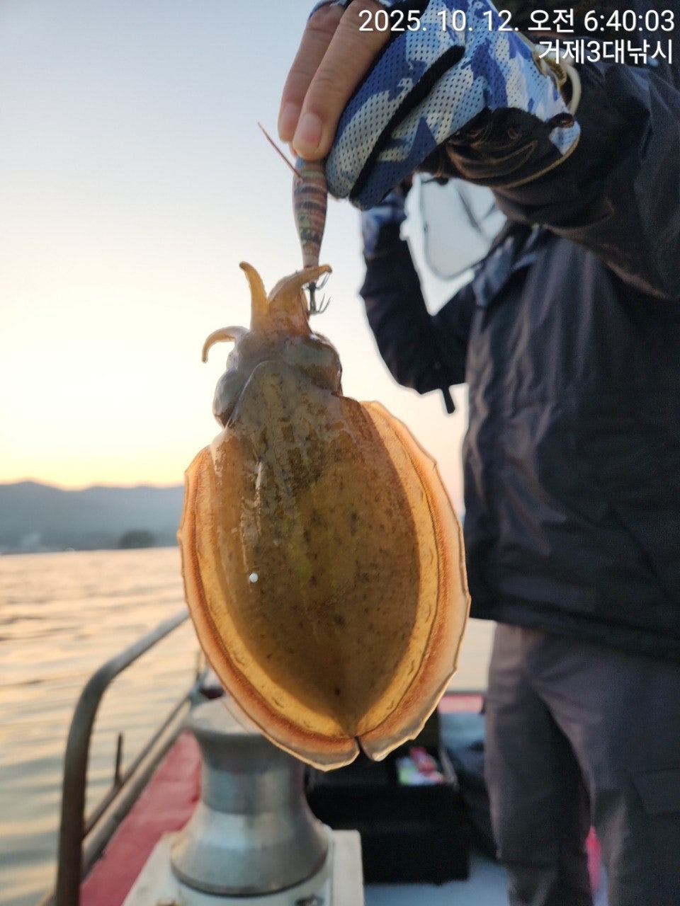 사용자가 올린 이미지