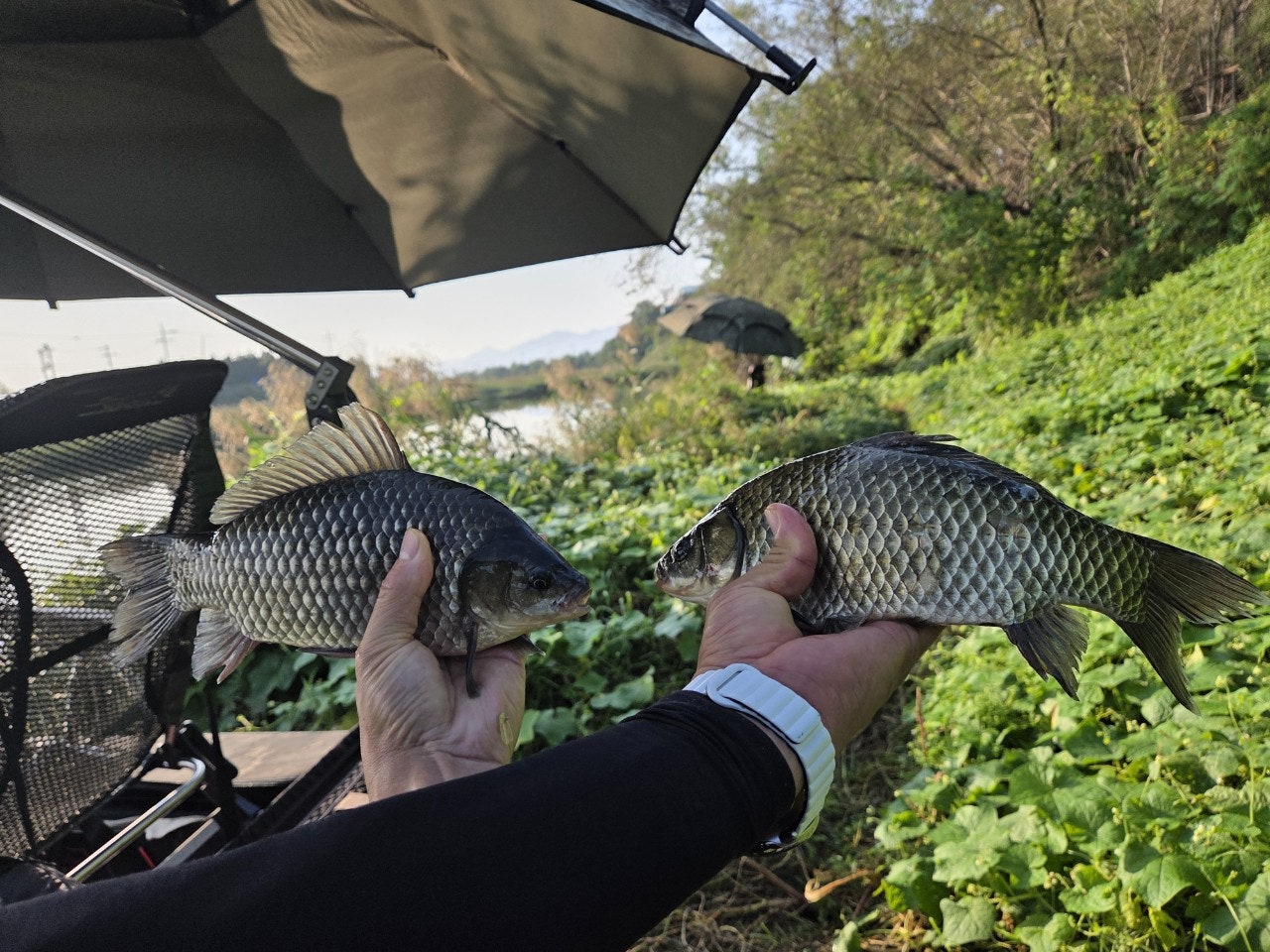 사용자가 올린 이미지
