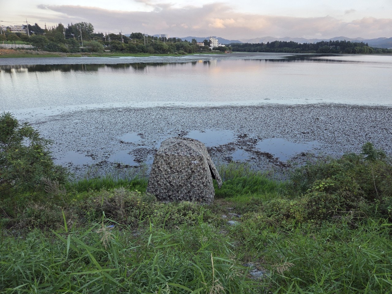 사용자가 올린 이미지
