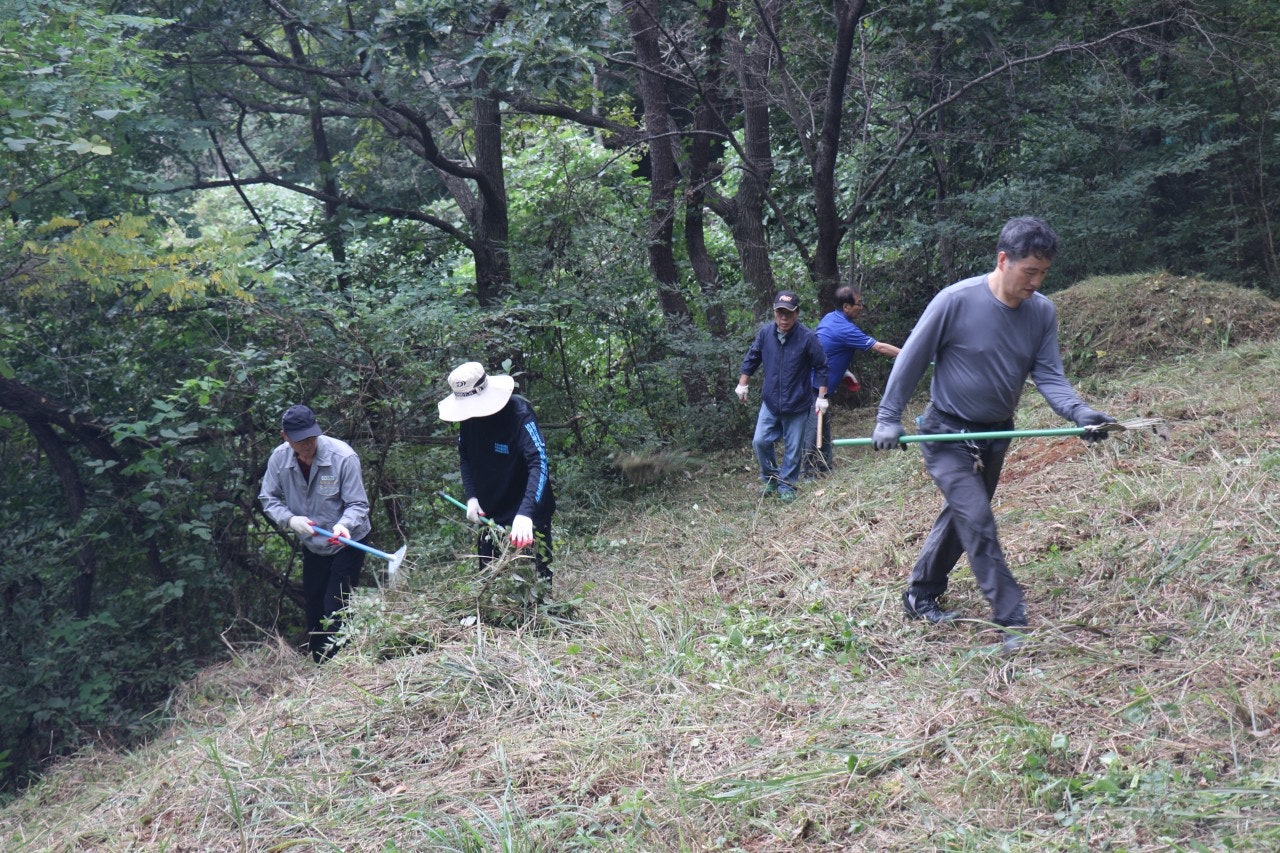 사용자가 올린 이미지