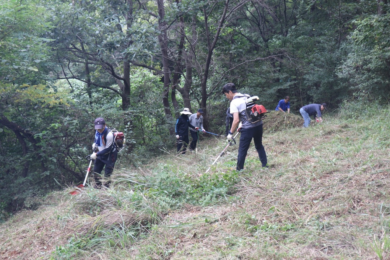 사용자가 올린 이미지